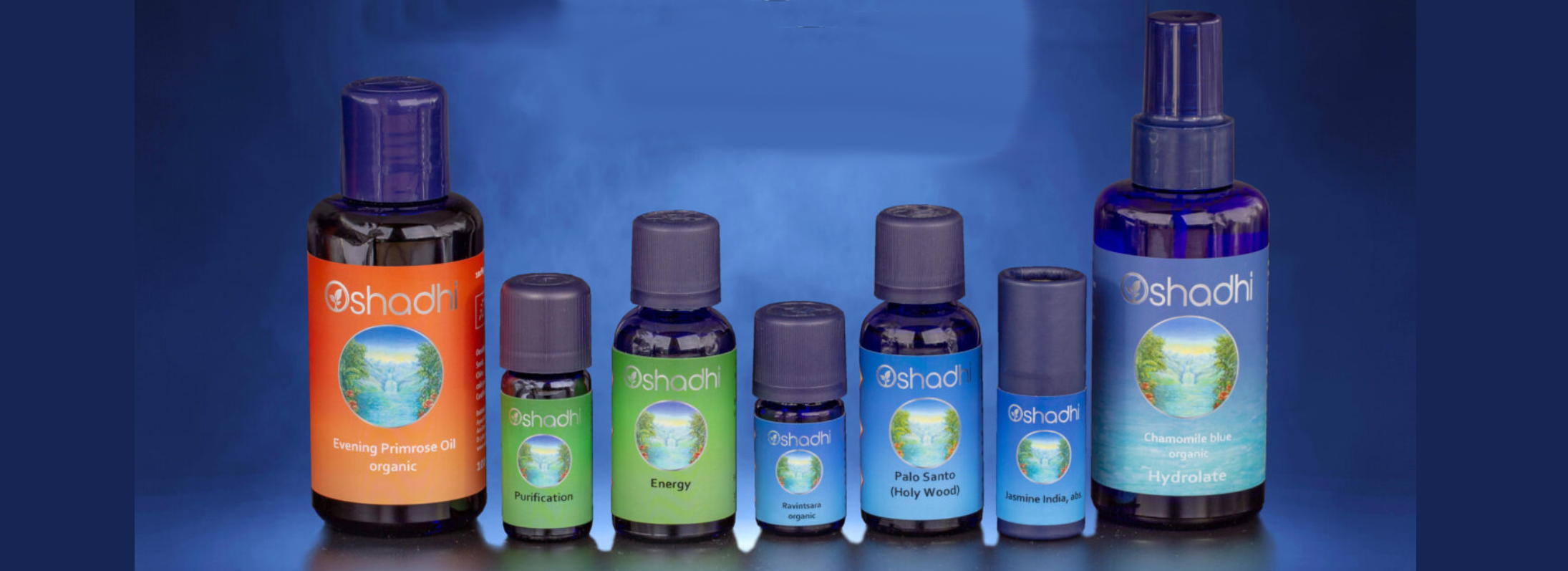 Aroma site web