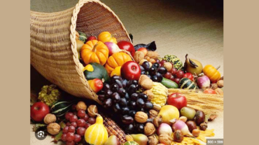Micronutrition banniere site web