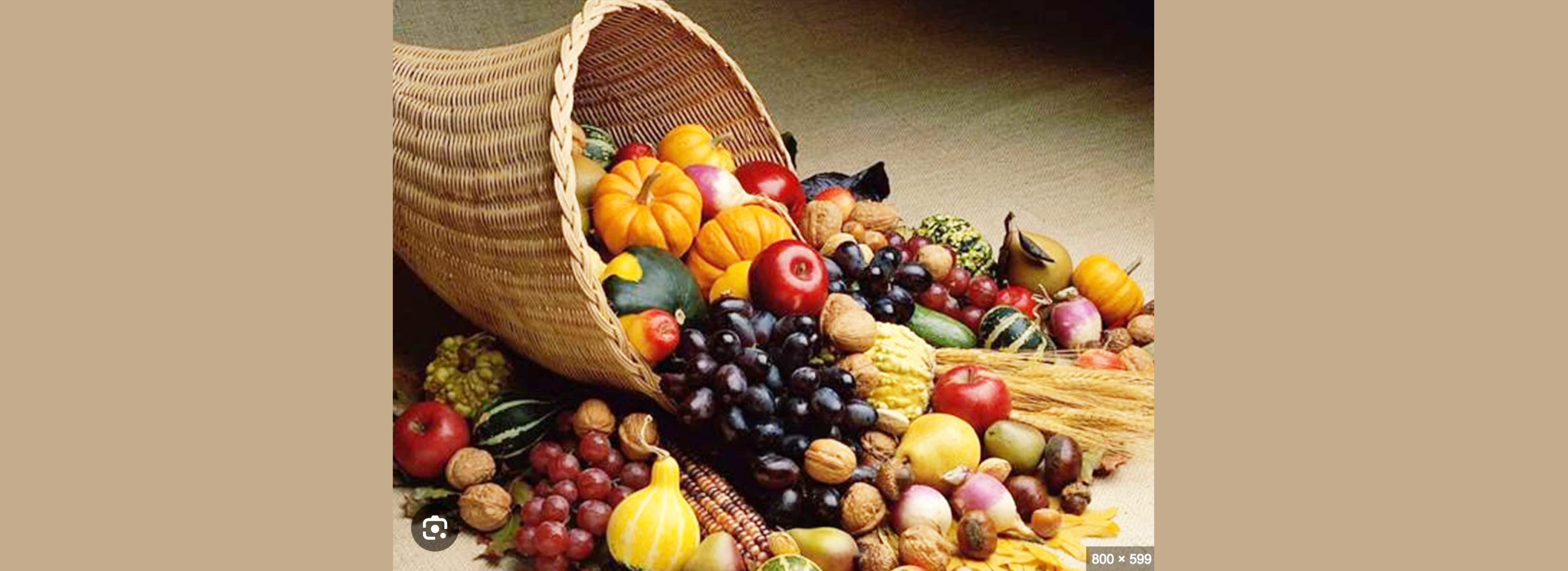Micronutrition banniere site web